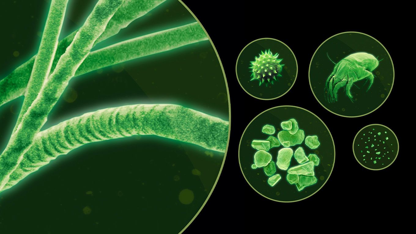 Various tiny particles as viewed under a microscope with a green tint.