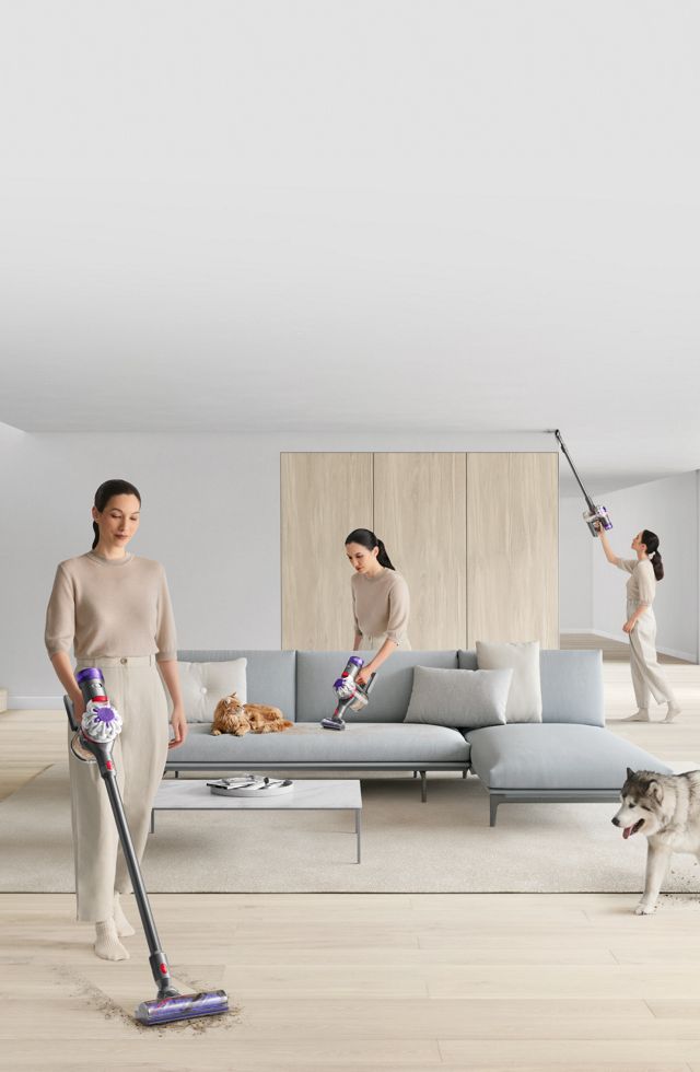 Dyson V8 Absolute (Silver/Nickel)