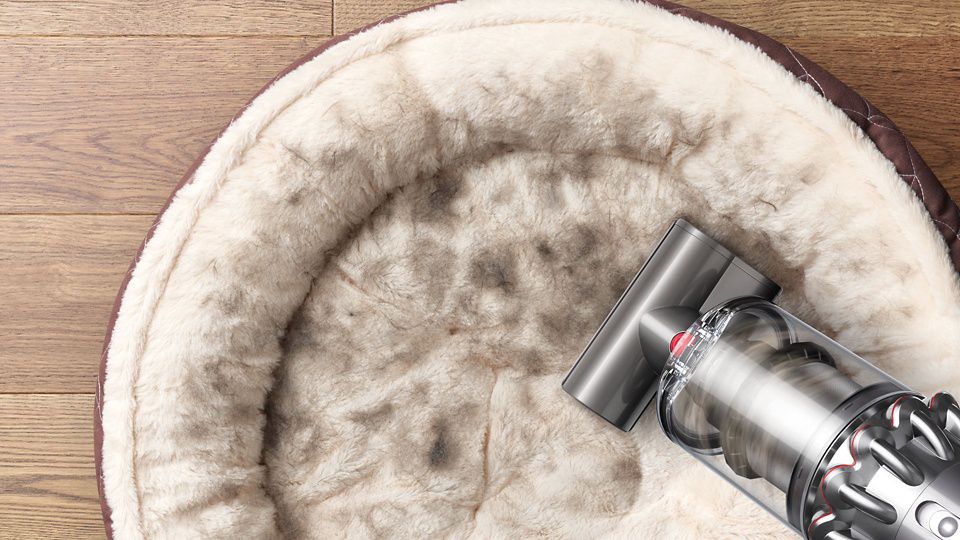 Hair screw tool cleaning hair on pet bed