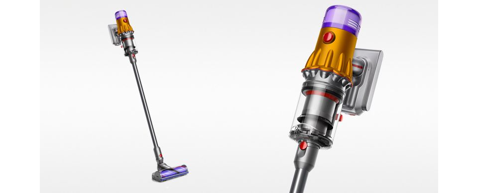 Aspirador V12 Detect Slim Absolute