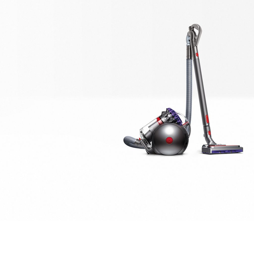 dyson animal 2