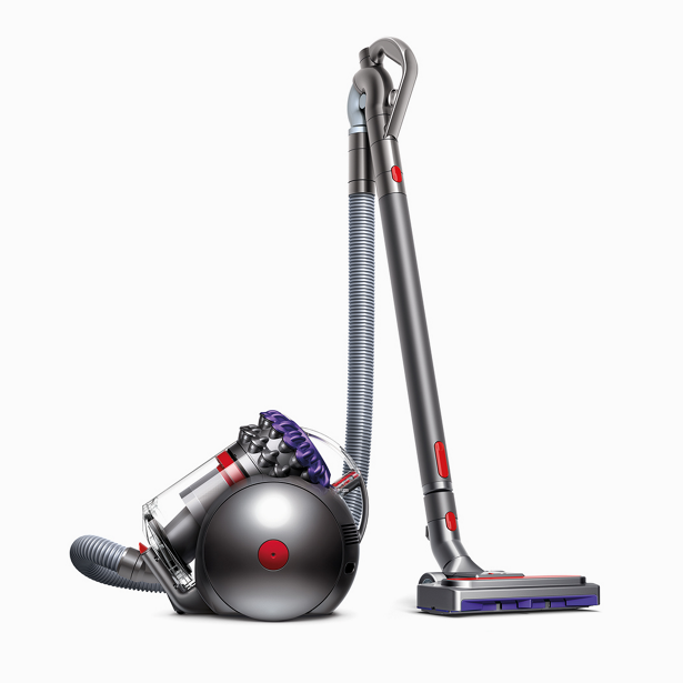 Dyson Big Ball Animal