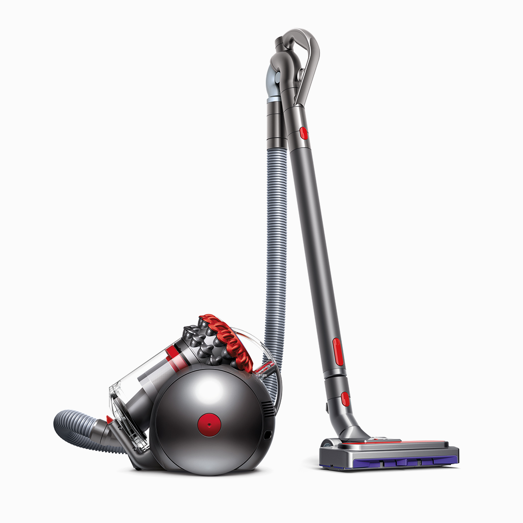Dyson Big Ball Animal