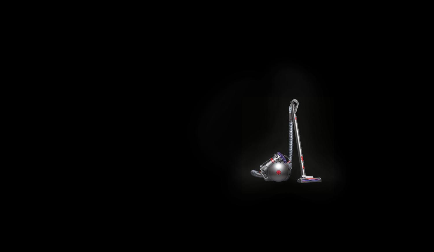Dyson Big Ball™ vacuum