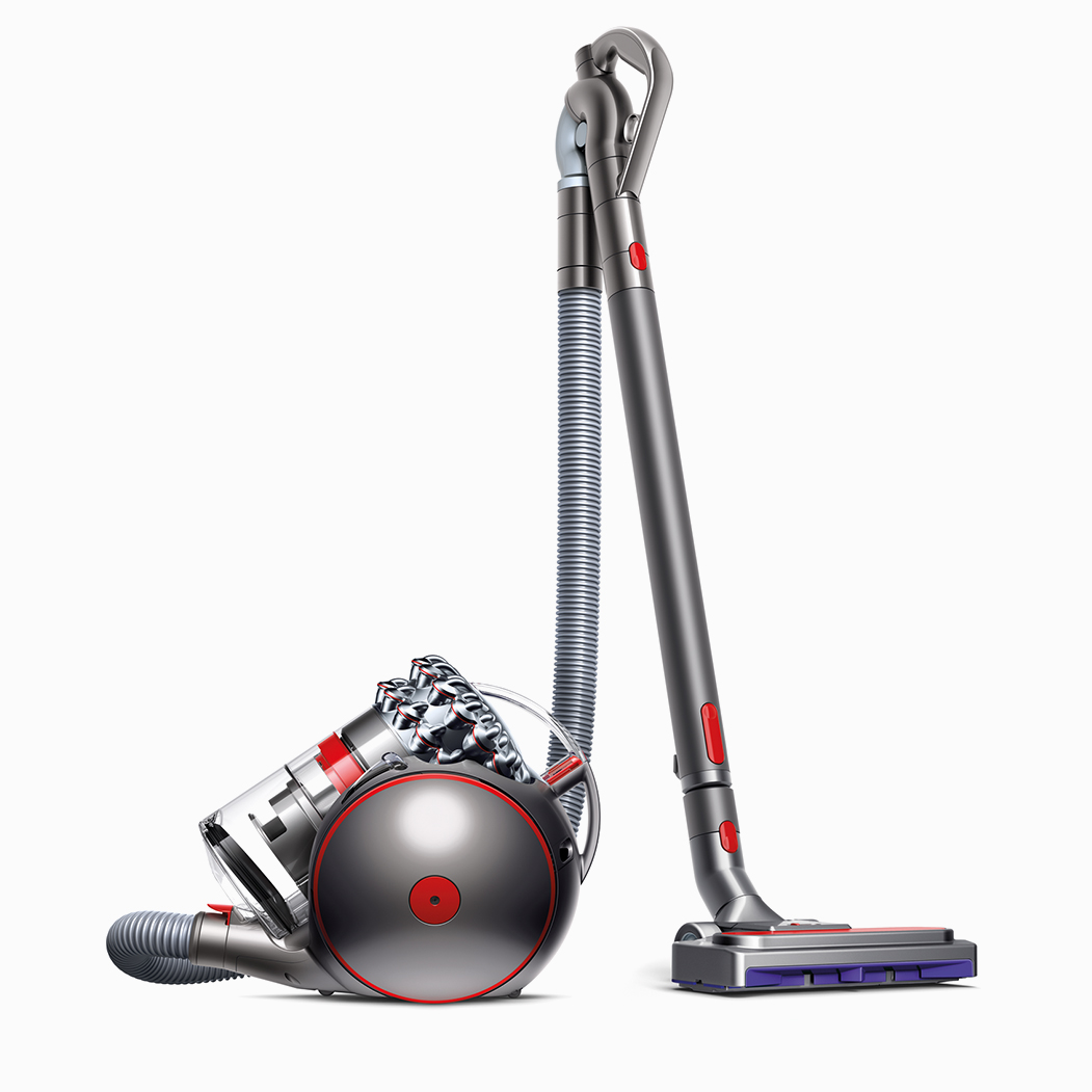 Dyson Big Ball Animal