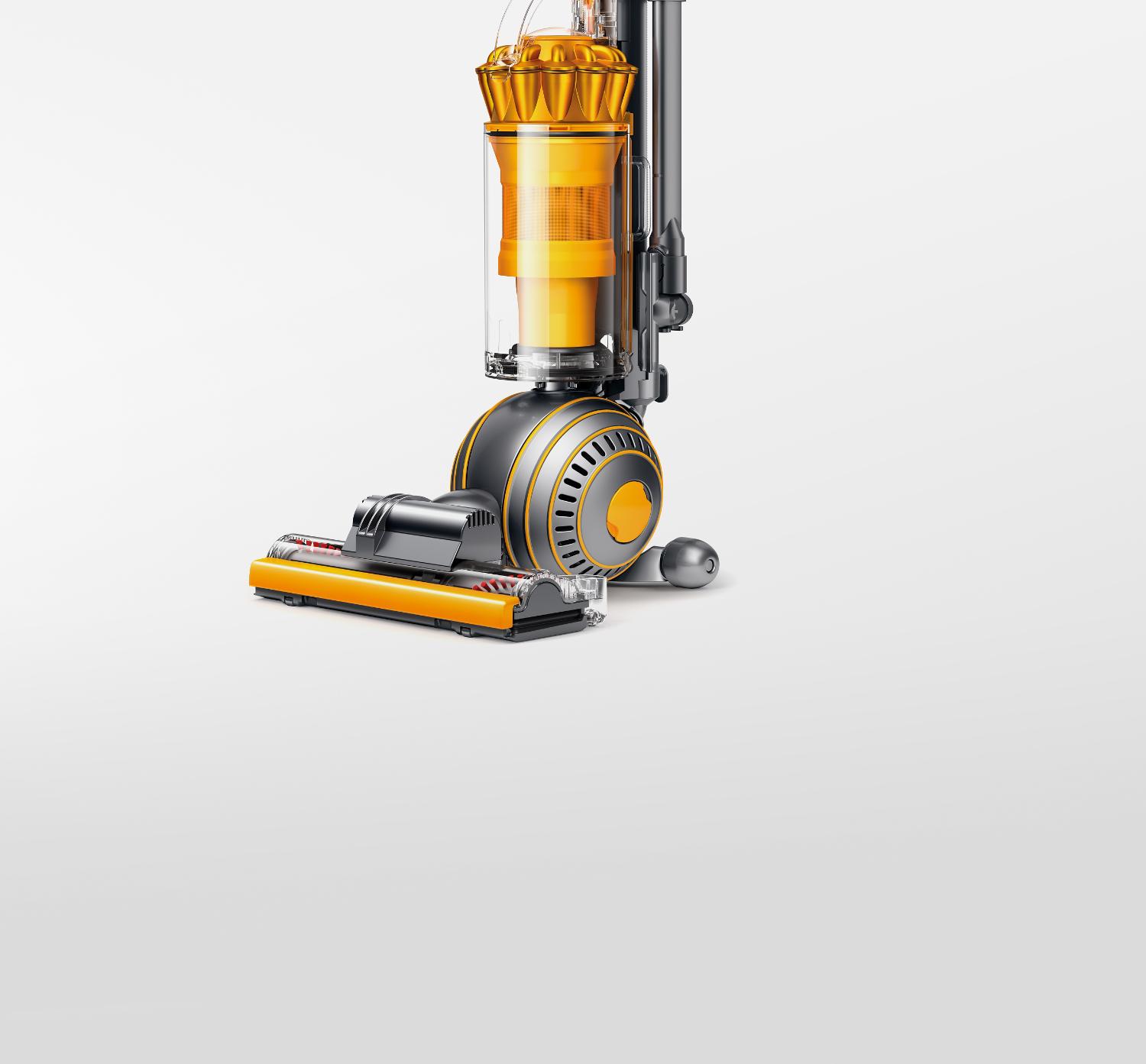 Boule et tête d’aspirateur du Dyson Ball multifloor