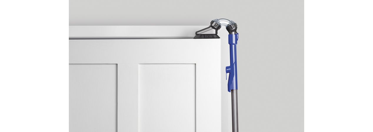 Dyson Ball Animal 2 vacuum cleaner