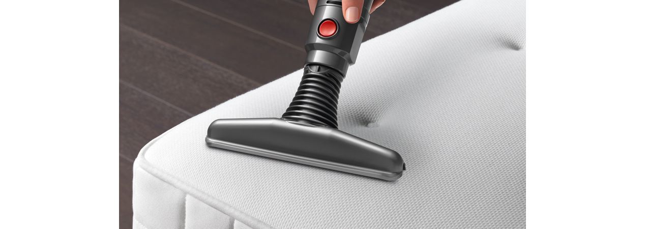 Dyson Ball Animal 2 vacuum cleaner