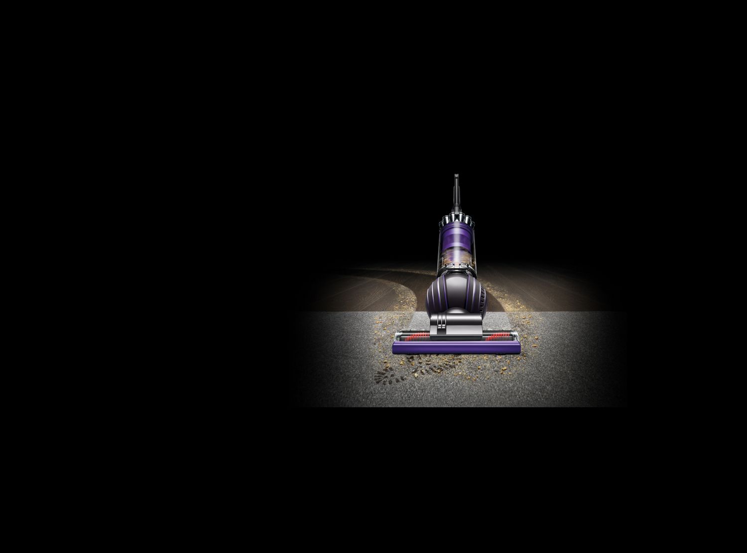animal 2 dyson