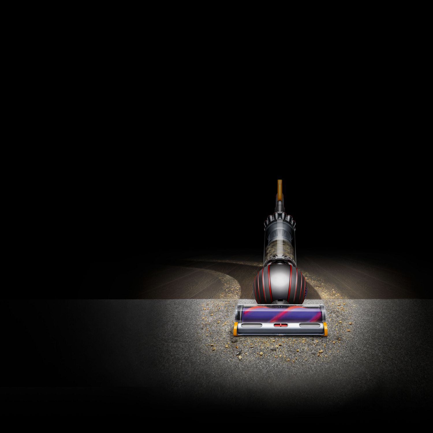 Dyson Ball Animal 2 Upright Vacuum Cleaner Overview Dyson