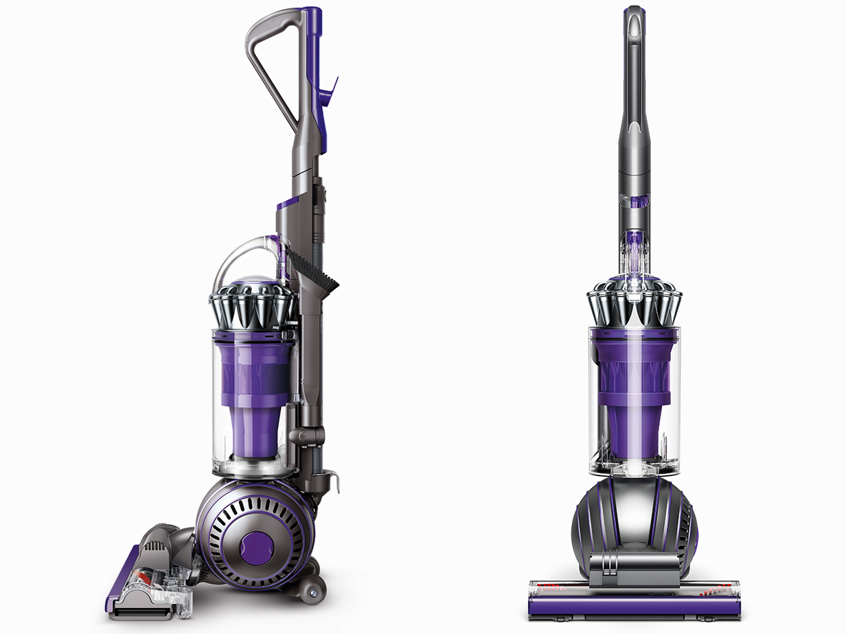 Dyson Ball Animal 2 vacuum front and side view