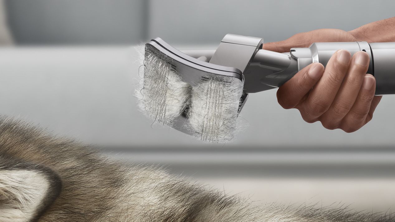 Hair caught in Pet grom tool bristles Hair caught in Pet grom tool bristles