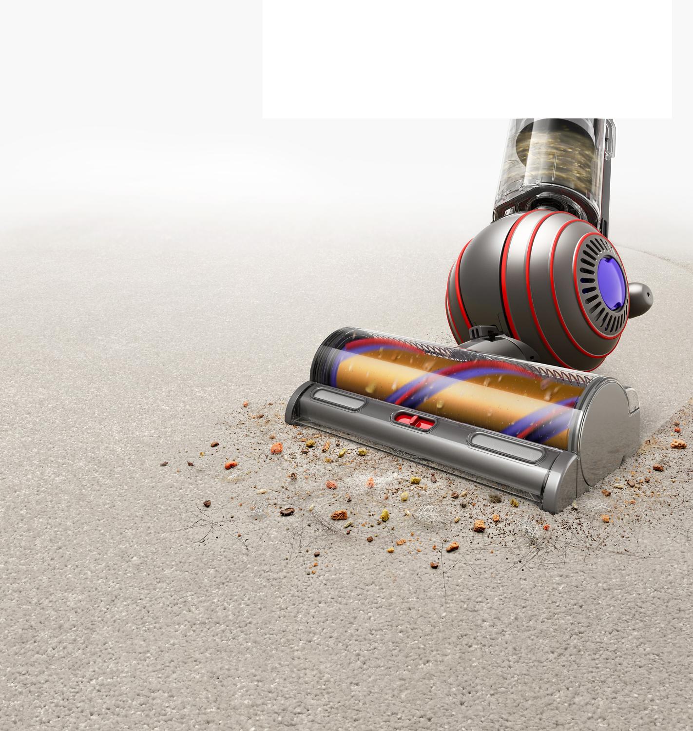 Dyson Ball Animal vacuum sucking up pet hair