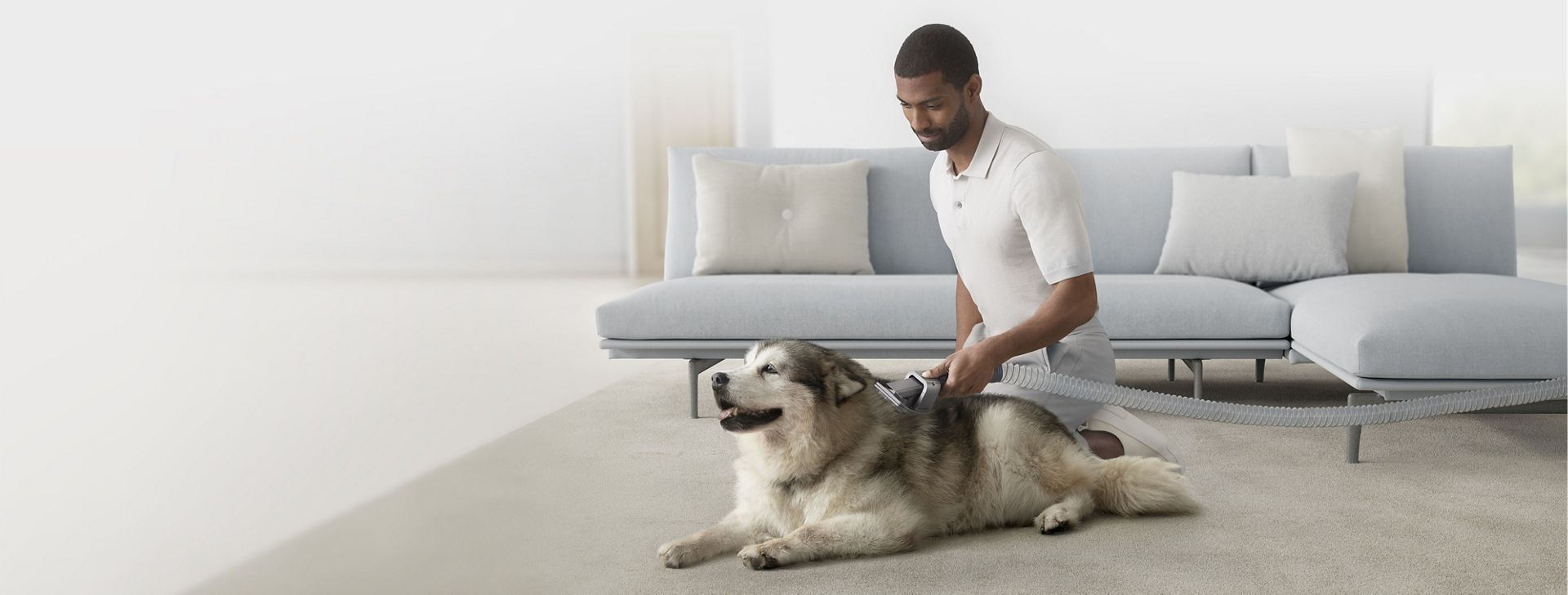 Homme utilisant l’accessoire pour le toilettage d’animaux sur son chien