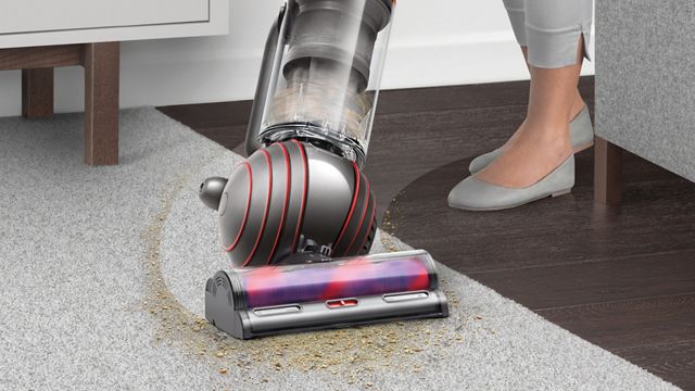 What are the Key Features of the Dyson Ball Animal 2? Ultimate Guide