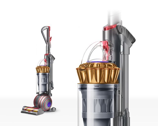 Dyson Ball Animal 3 Extra Upright Vacuum with Allergy Kit 