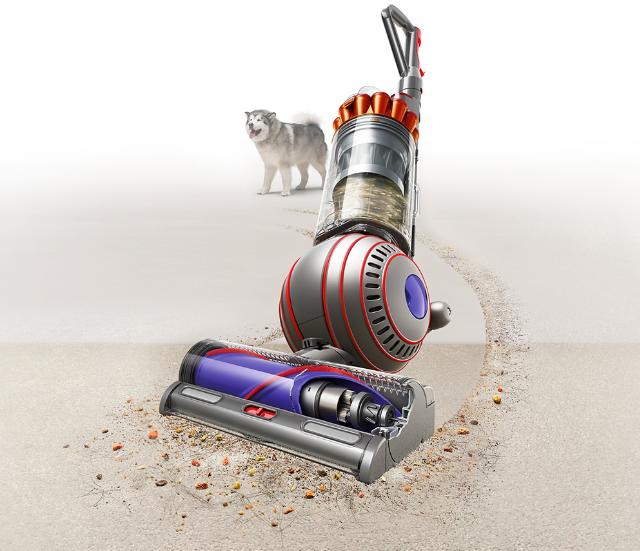 Dyson Ball Animal 3 vacuums