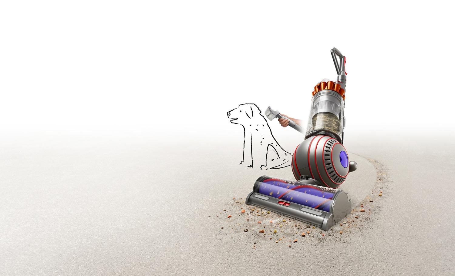 Dyson Ball Animal vacuum with Pet groom tool