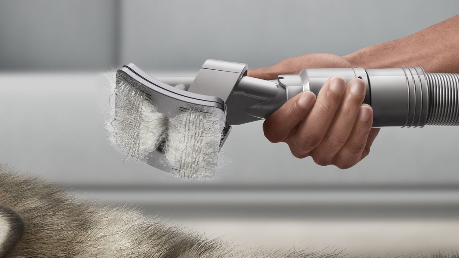 Dyson Ball Animal 3 vacuums