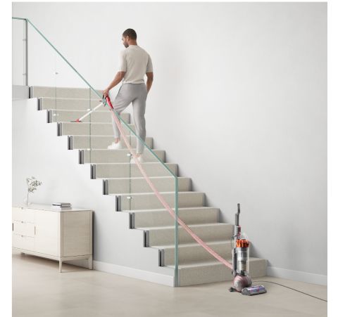 Man cleans stairs with the Dyson Ball Animal Complete's extra-long cord and extension hose.