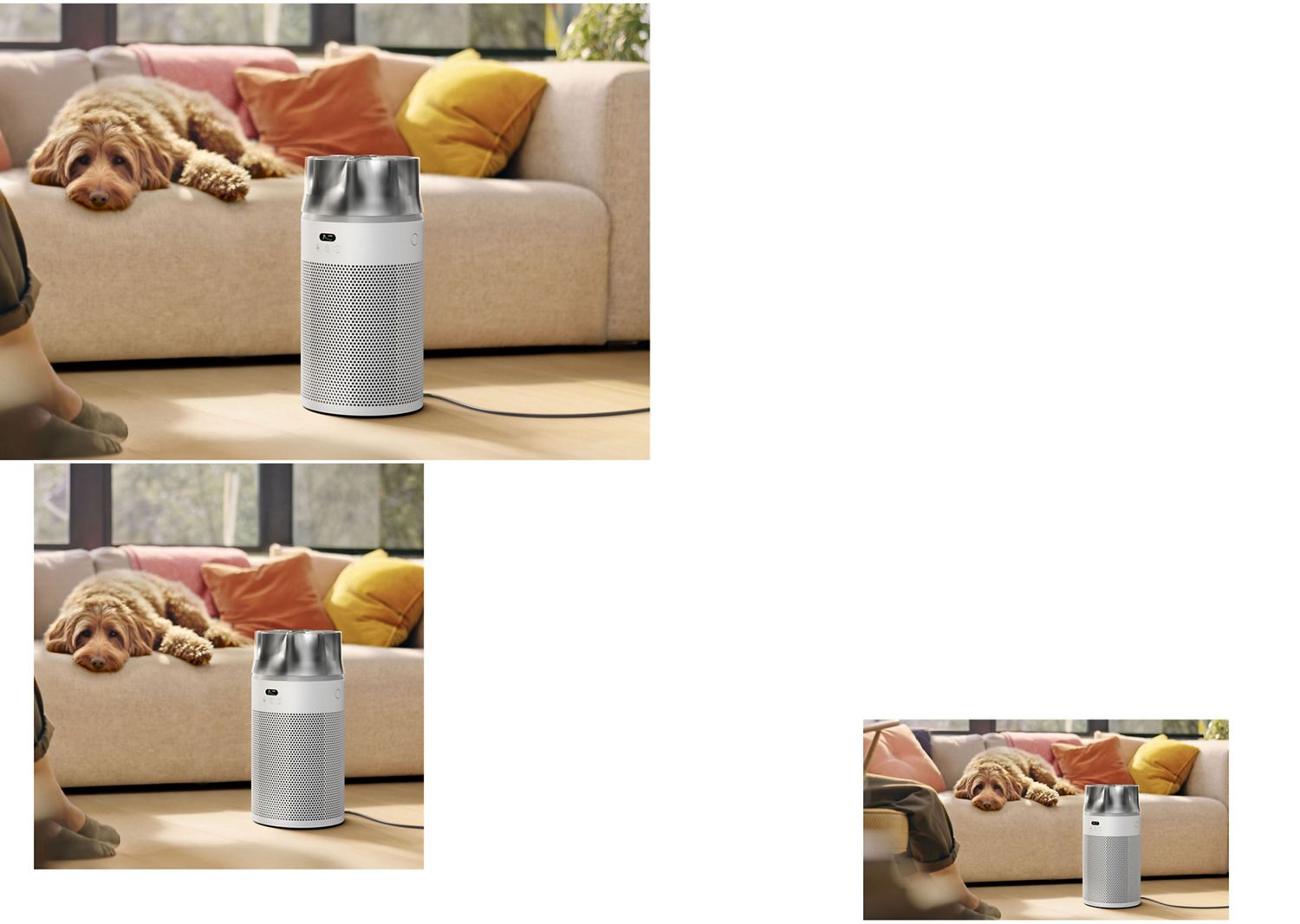 A dog sits on a sofa behind a Dyson HushJet compact purifier.