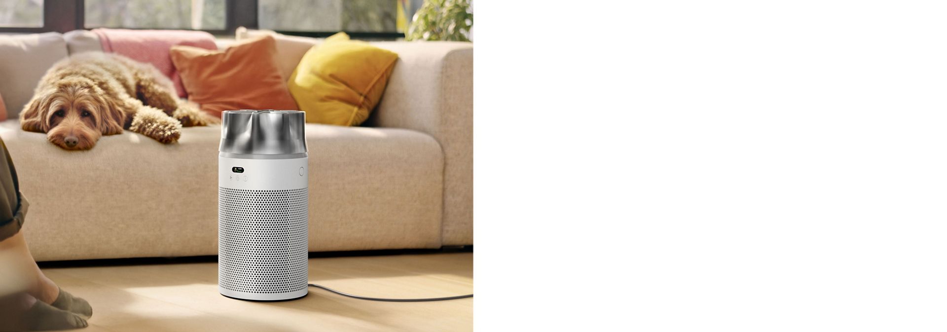 Pes sedí na pohovce za čističkou Dyson.