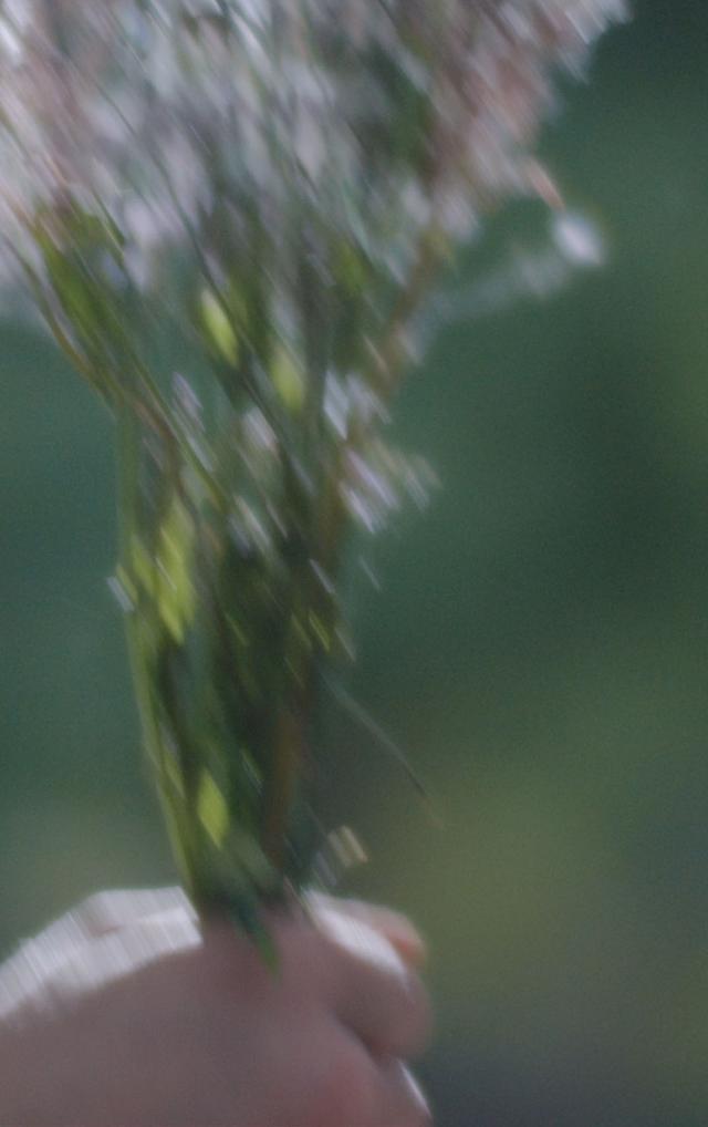 Mndful eten voor een gezonder leven Mndful eten voor een gezonder leven