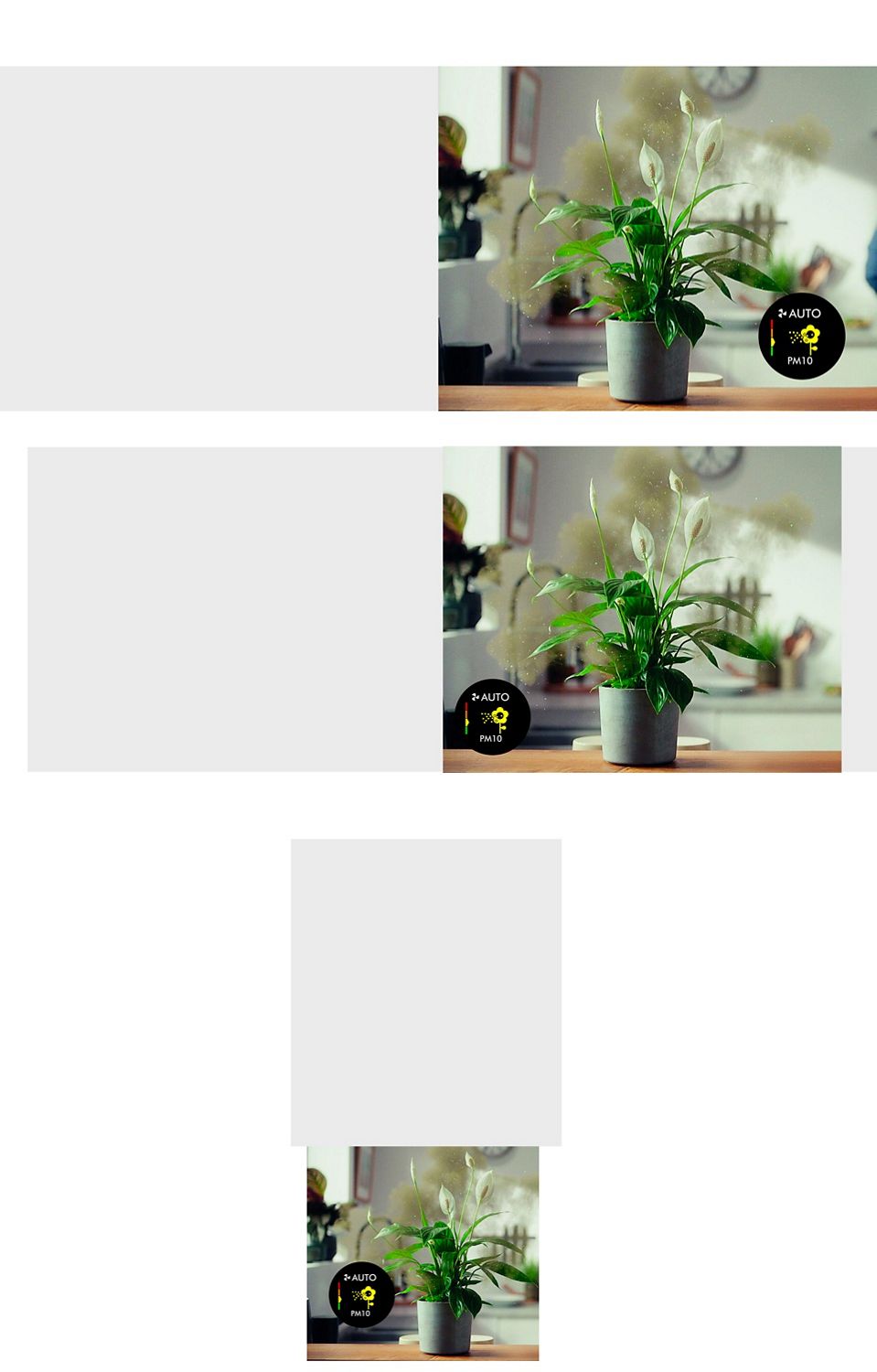 A house plant releasing pollen into the air.