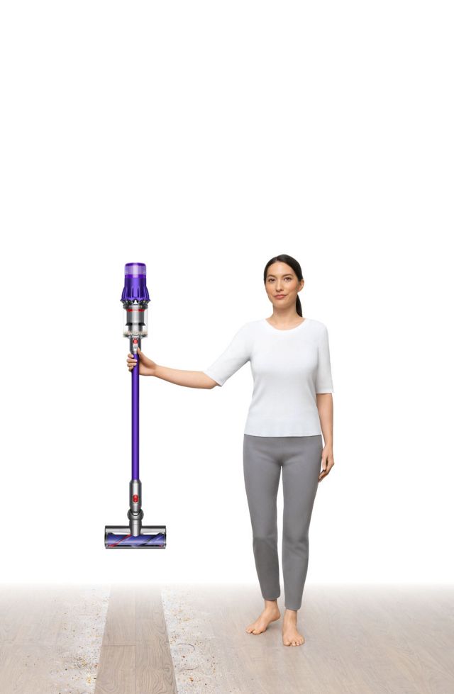 Dyson Digital Slim | Iron/Nickel