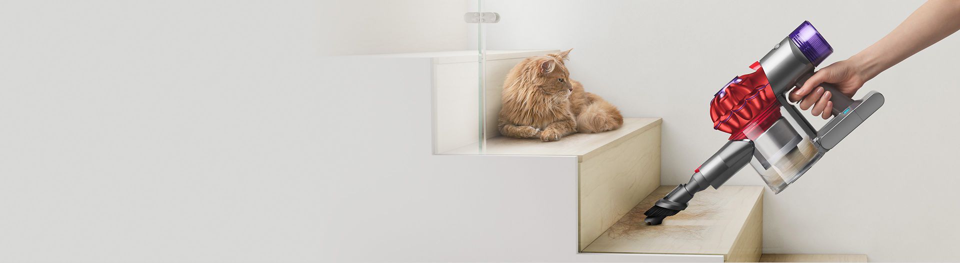 Dyson V8 Origin Plus in handheld mode removing hair from stairs, watched by a cat.