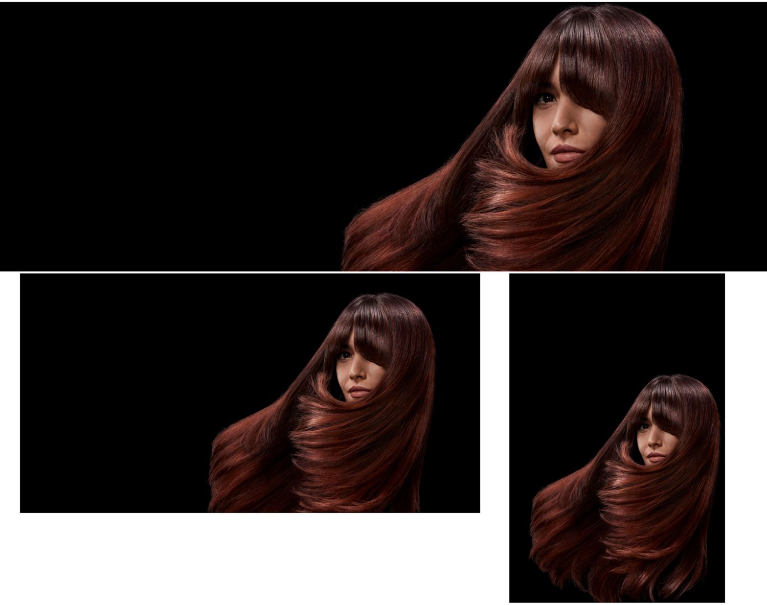 Model with long, shiny, styled hair. Oyster mushroom, showing detail of the gills.