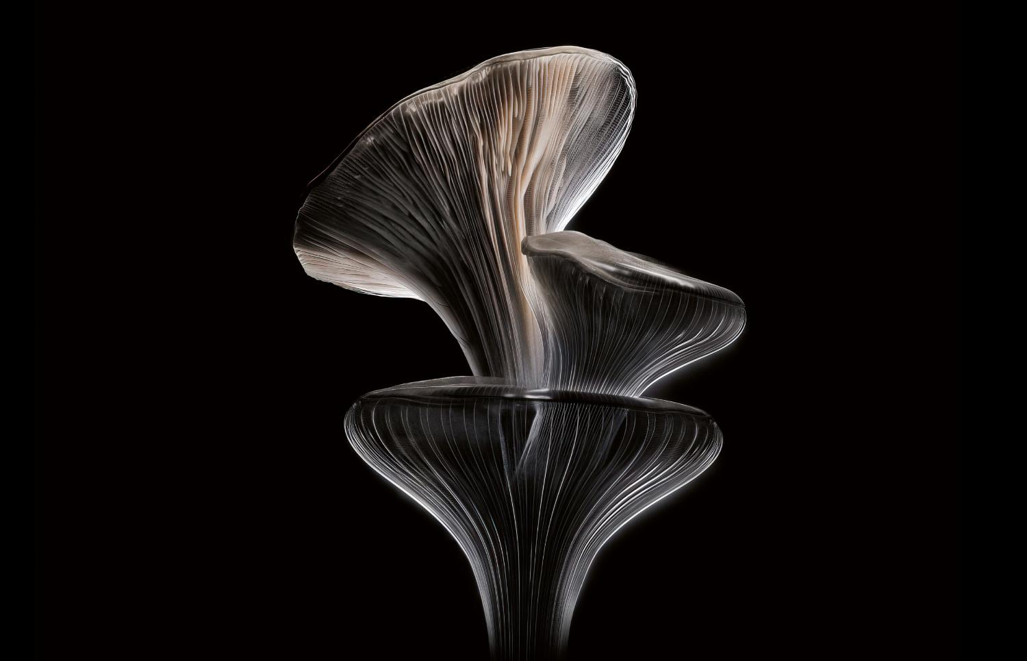 Dyson Chitosan