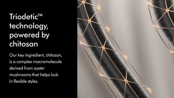 Dyson technology powered by Chitosan 
