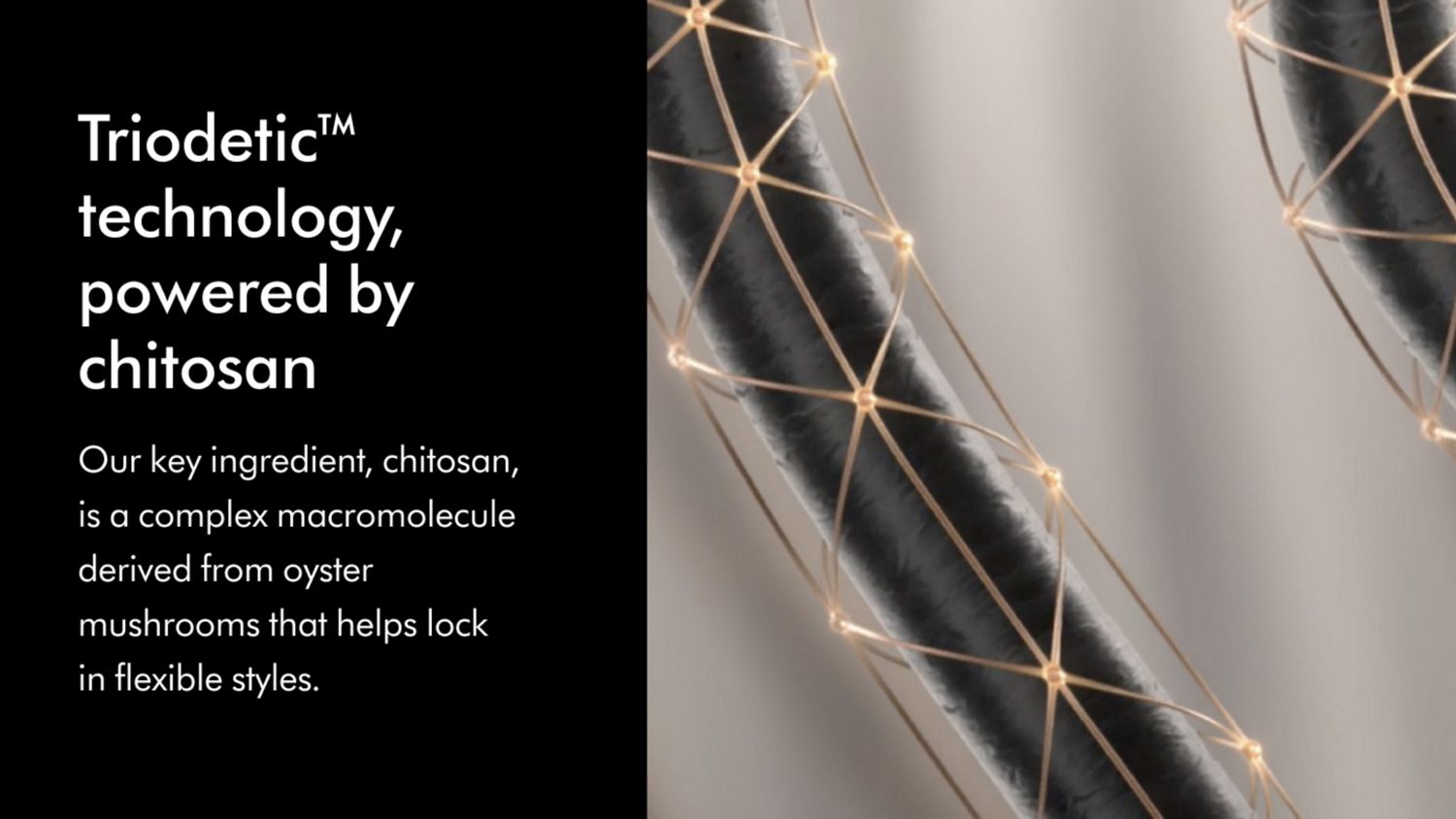 Triodetic Technology 