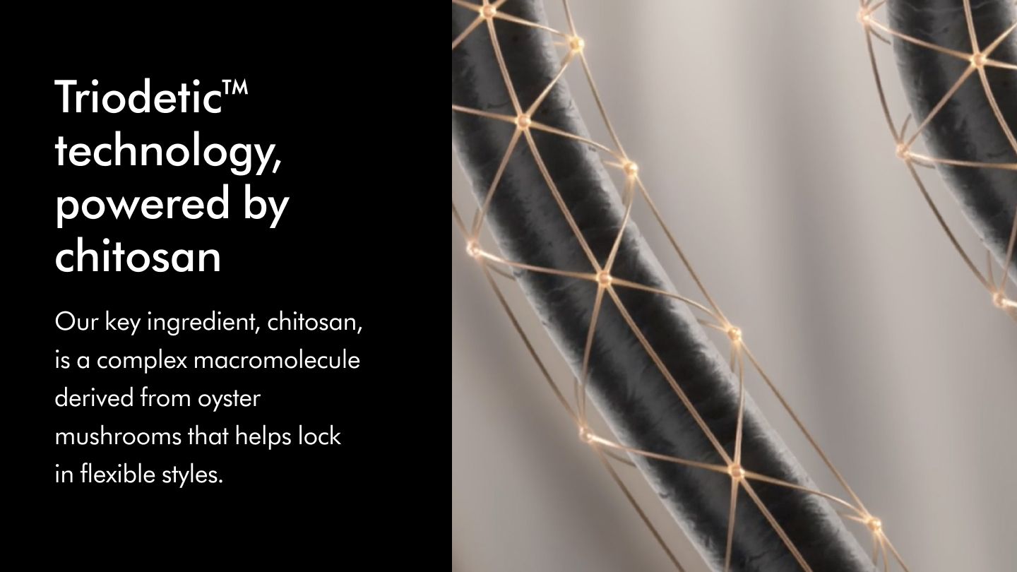 Triodetic Technology 