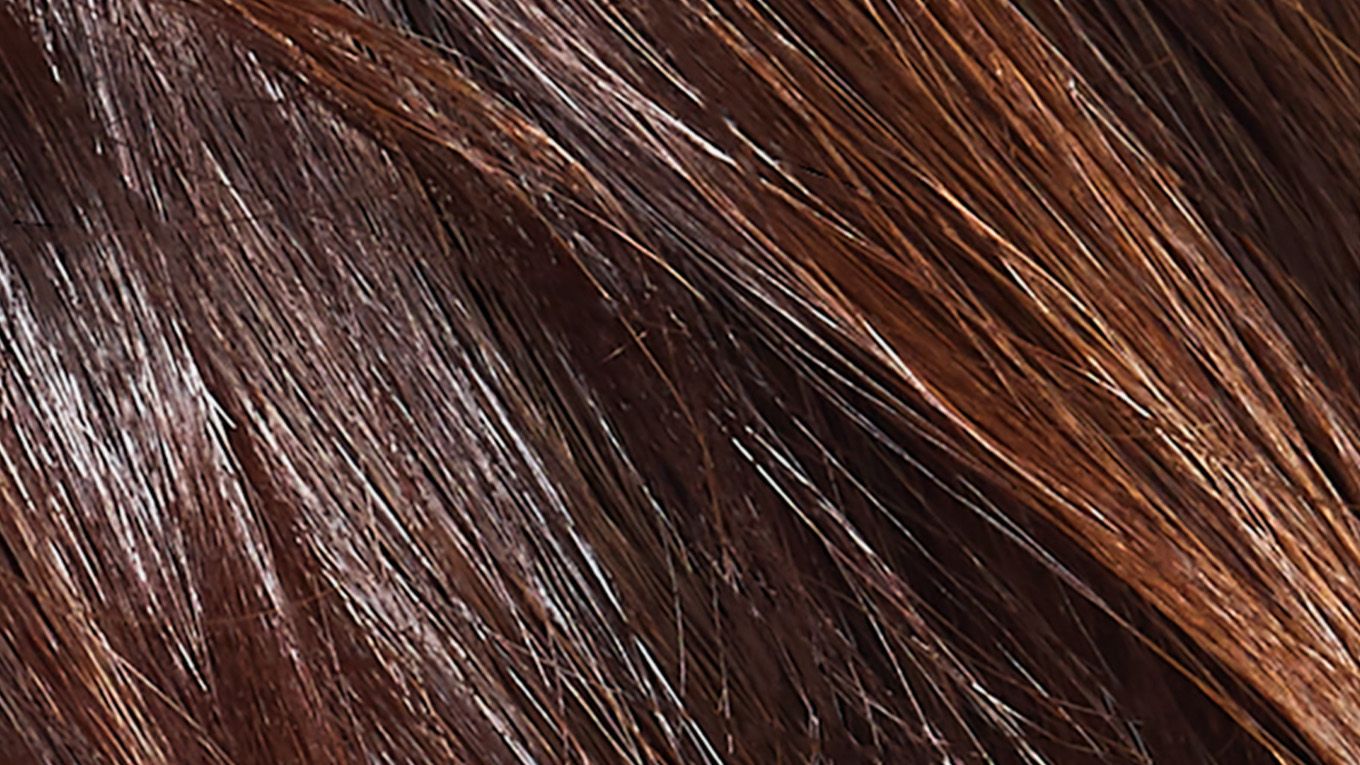 A close-up of shiny, healthy-looking brunette hair. A close-up of shiny, healthy-looking brunette hair.