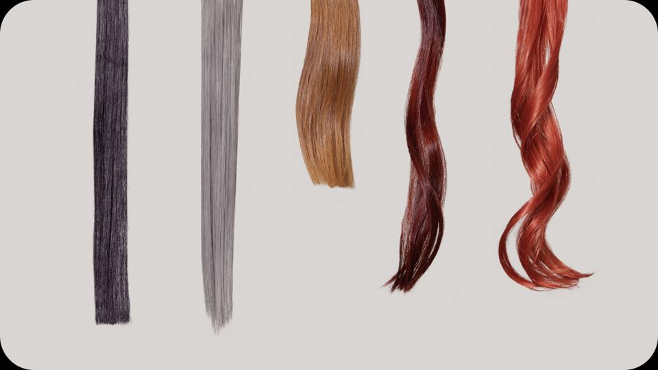 Mèches de cheveux&nbsp;droits ou ondulés de diverses couleurs pendues à un fil au labo.