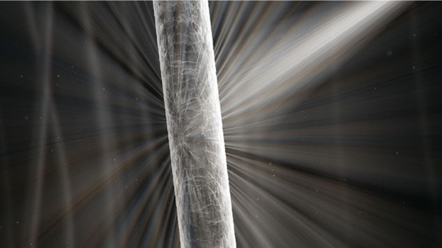 Здорове волосся відбиває світло Збільшене здорове волосся