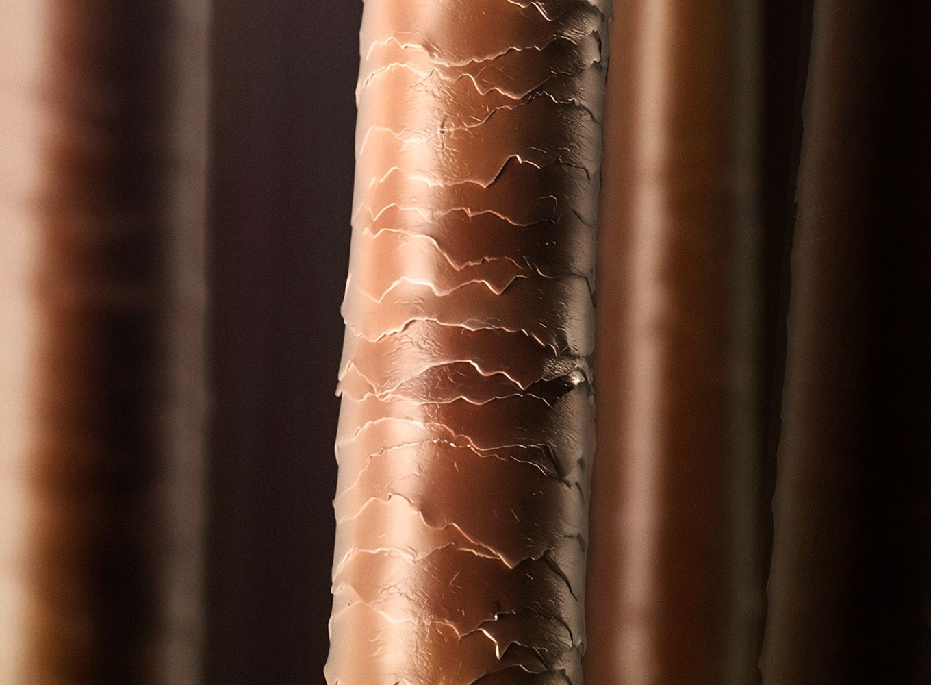 Close up of a healthy hair cortex coated which looks smooth and shiny