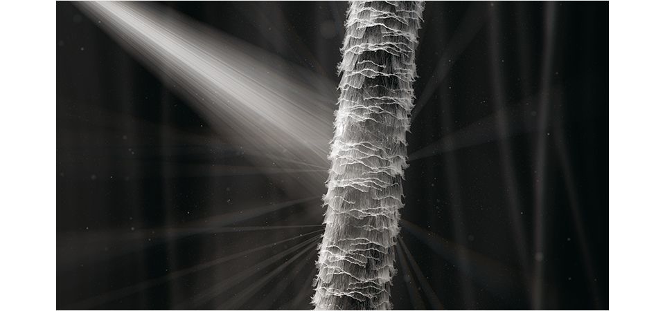 Luce dispersa a causa dei capelli danneggiati