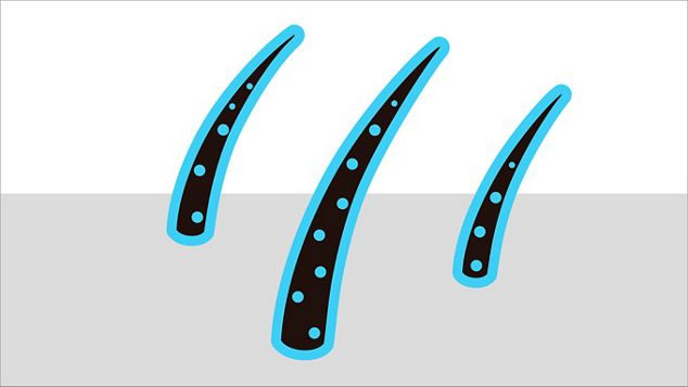 髪の水分量を守る
