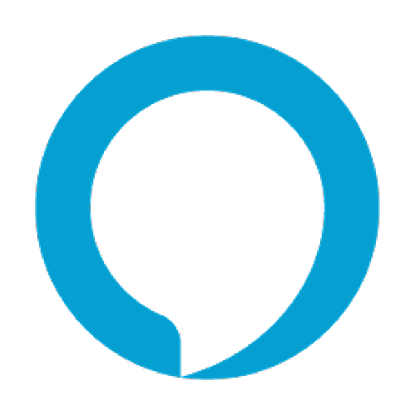 Works with amazon alexa