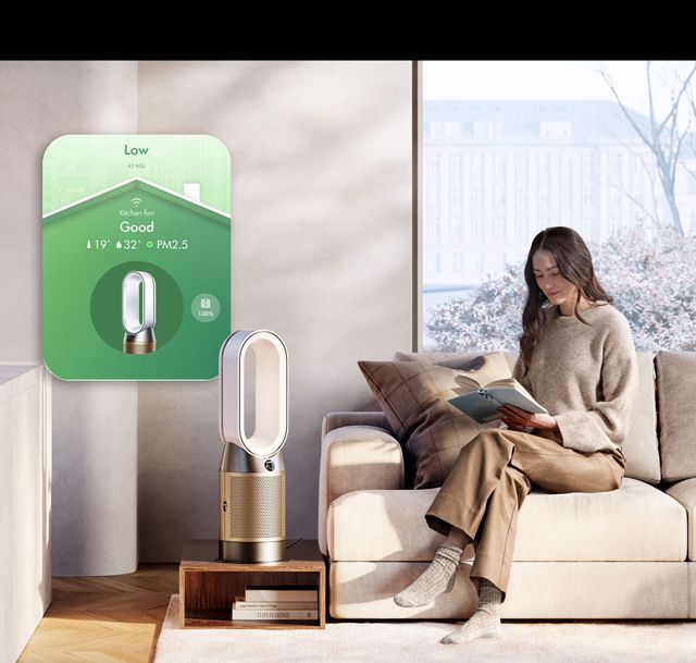 Dyson Purifier Hot+Cool HP2 De-NOx
