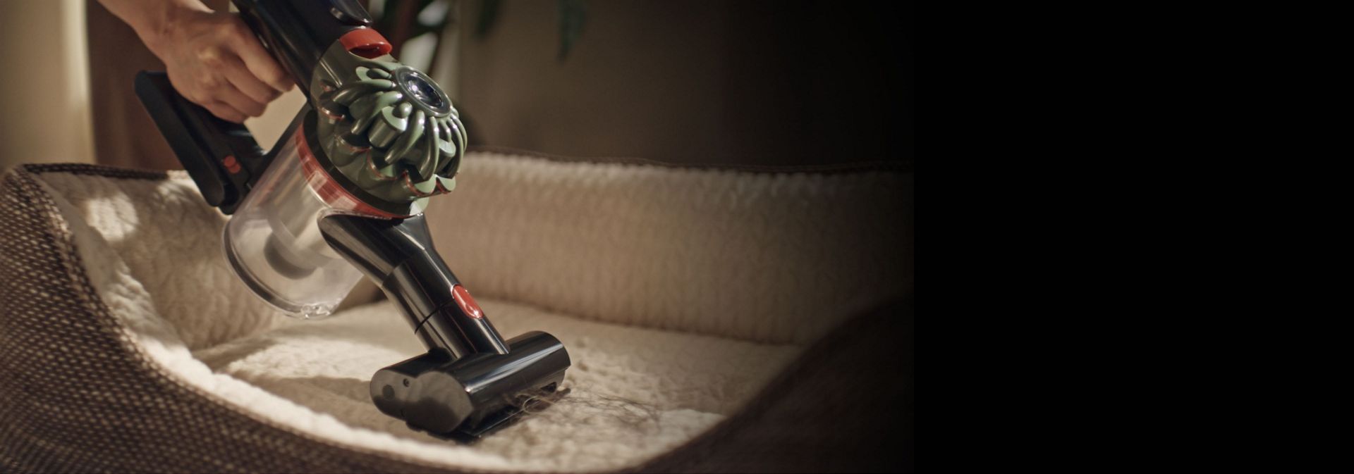 يتم استخدام مكنسة Dyson V8 Cyclone مع الأداة الصغيرة ذات المحرك لتنظيف سرير الحيوانات الأليفة.