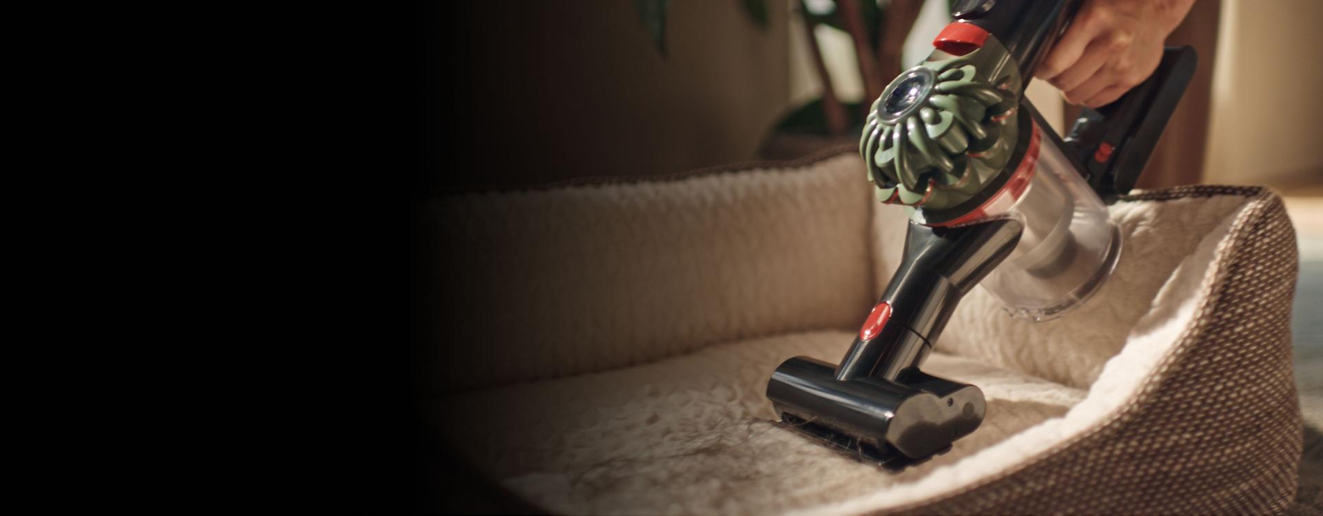 The Dyson V8 Cyclone vacuum is used with the Mini motorised tool to clean a pet bed.