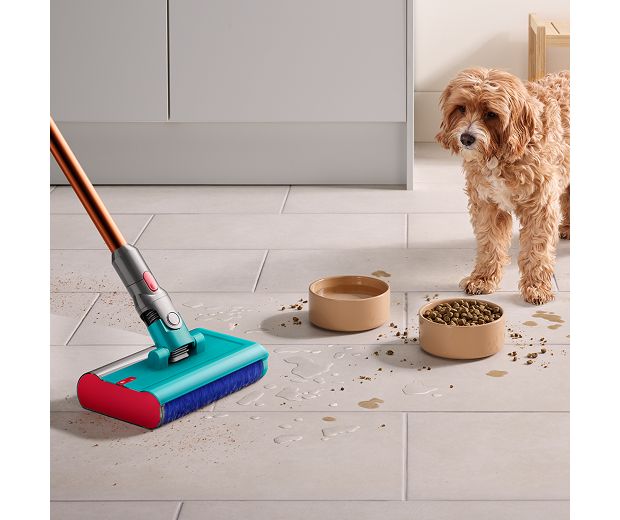 Pies patrzący na miski z jedzeniem i wodą w trakcie pracy końcówki Dyson Submarine do czyszczenia na mokro.