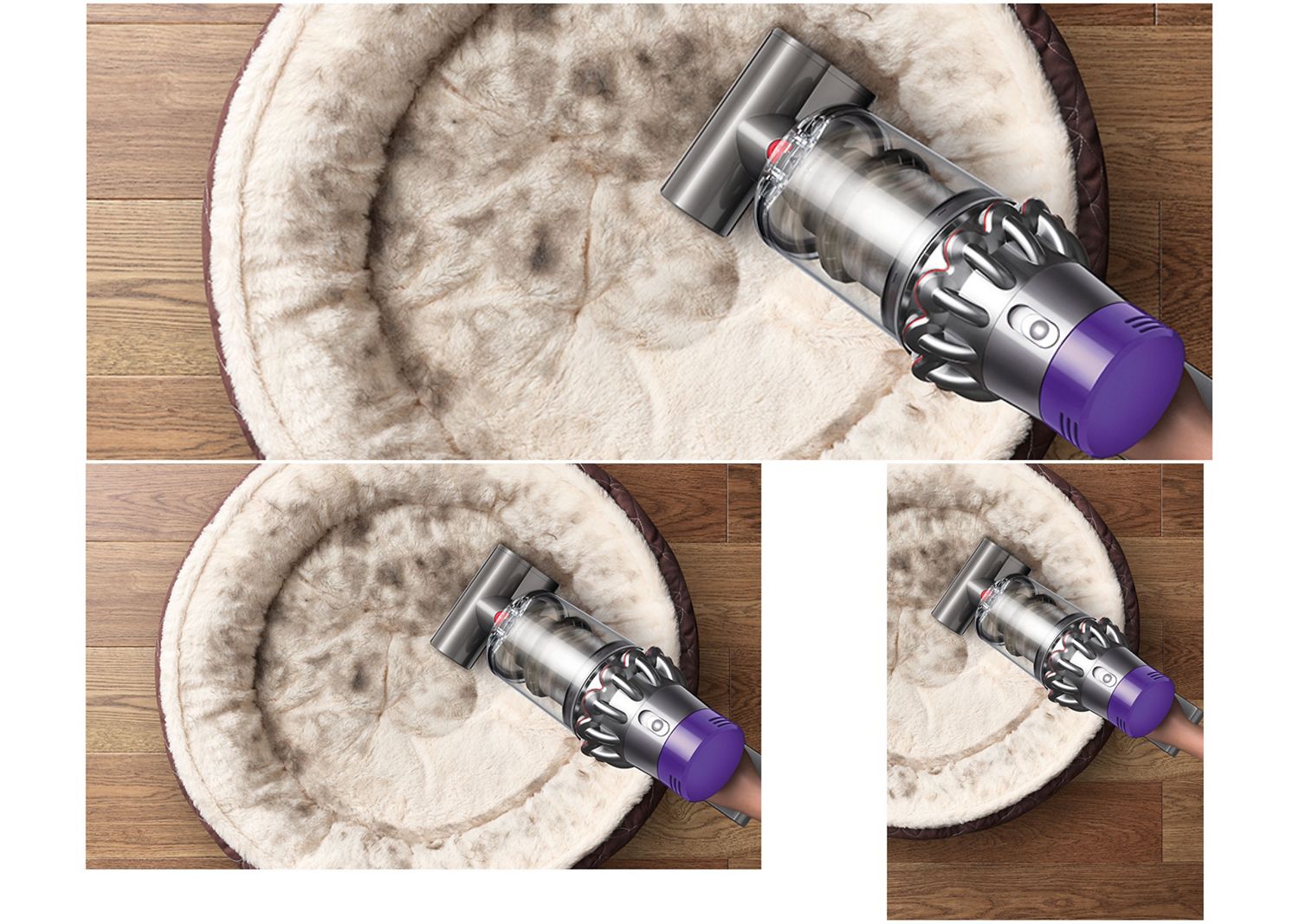 Dyson Cyclone V10 vacuum used with the Mini motorised tool to clean a pet bed.