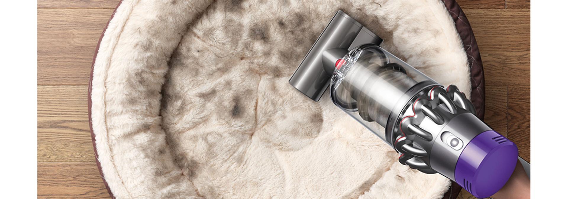 Dyson Cyclone V10 putekļu sūcējs, ko izmanto kopā ar motorizēto miniuzgali, lai tīrītu mājdzīvnieka guļvietu.