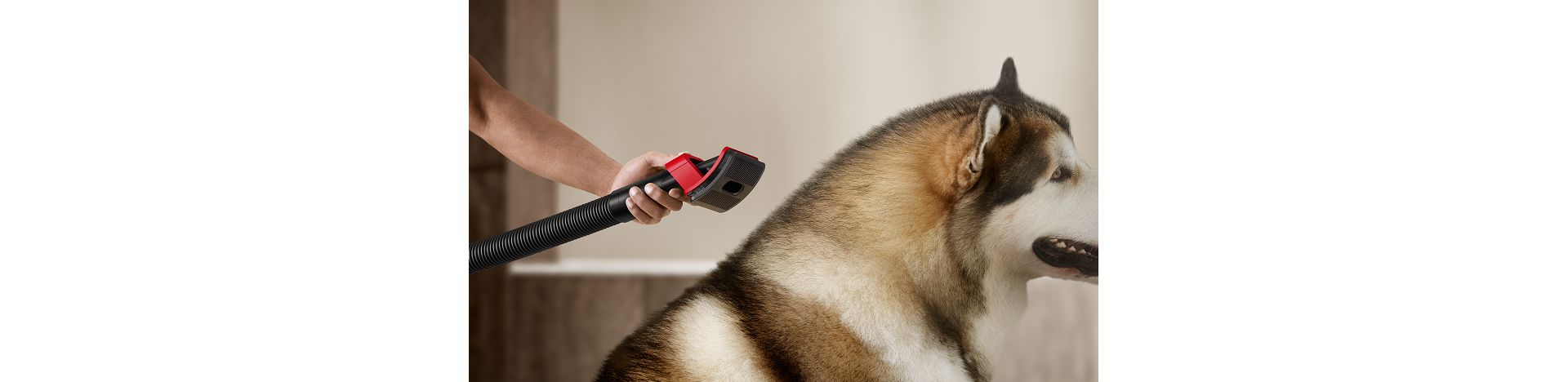 The Pet groom tool is used on a dog to remove shed fur.