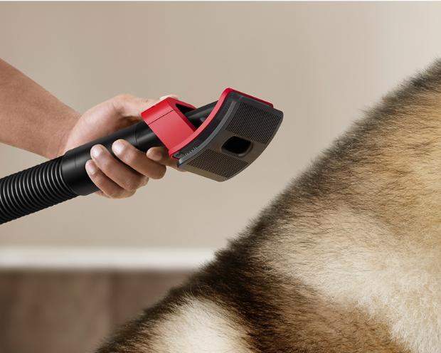 The Pet groom tool is used on a dog to remove shed fur.